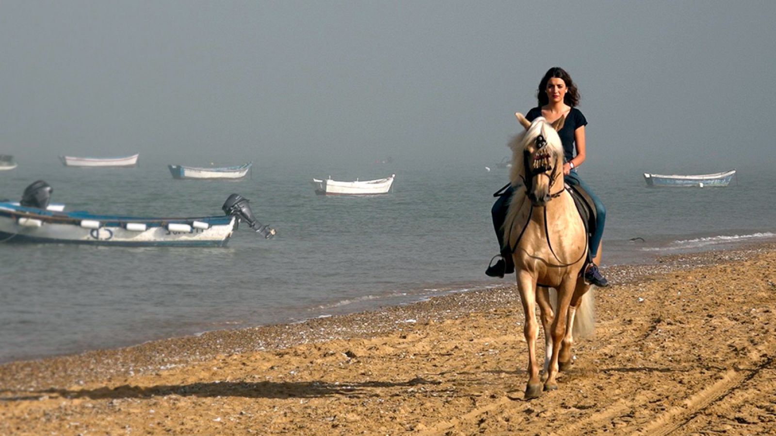 Tribus viajeras - Apellidos vascos en Jerez - ver ahora
