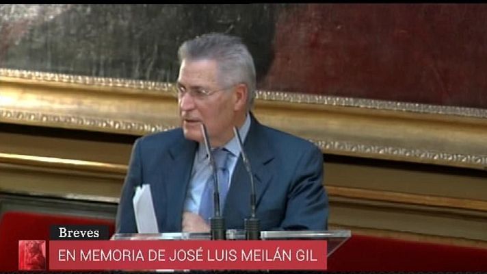 Parlamento - Adiós a Meilán Gil