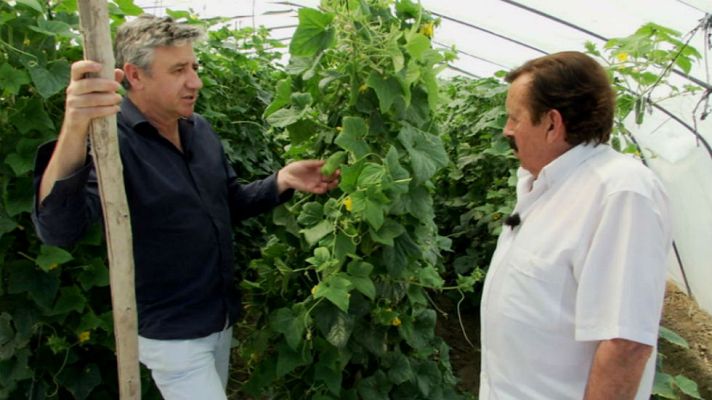 Aquí la Tierra - ¡No me importa un pepino!