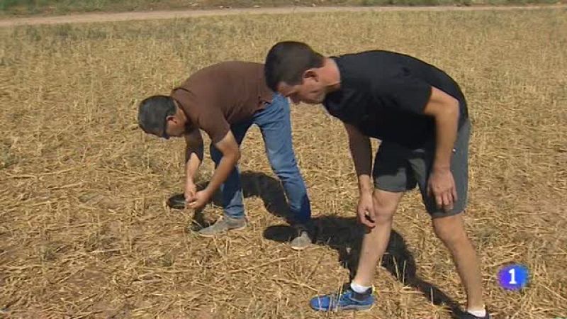  Aragón en 2'-02/07/18