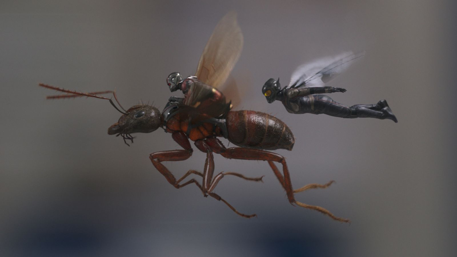 Tráiler de 'Ant-Man y la Avispa'