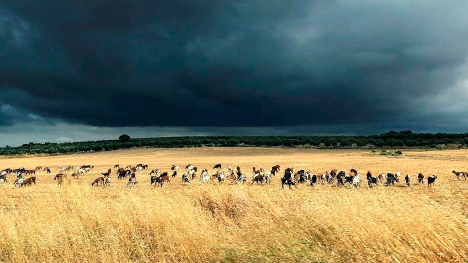 Nubosidad y posibilidad de tormenta en Galicia, Cantábrico y Navarra
