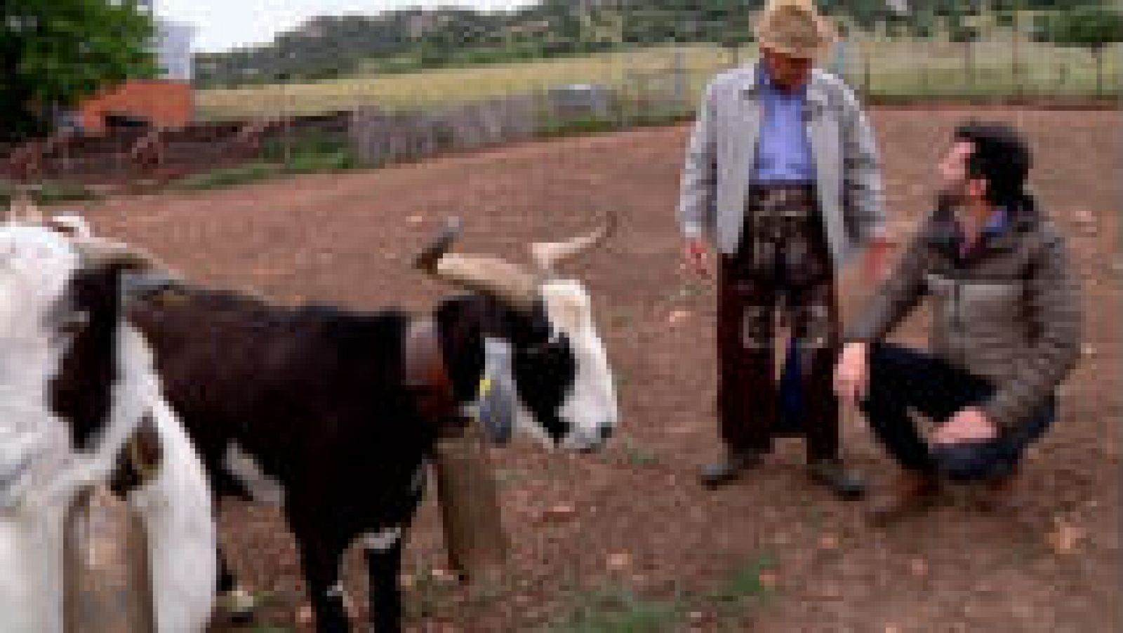 Pastores en Ciudad Real