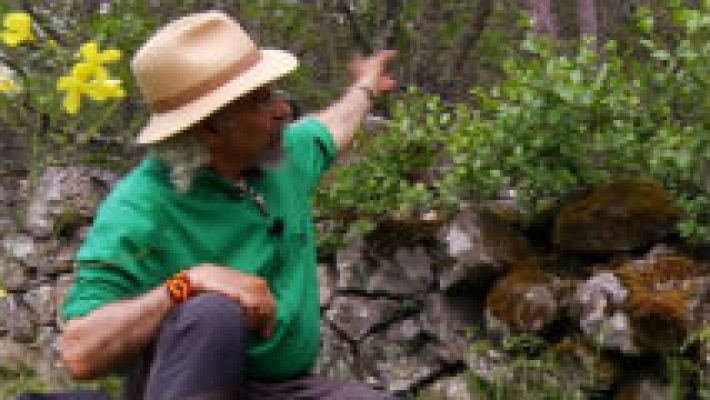 Aquí la Tierra - Pimpinela contra las hemorragias