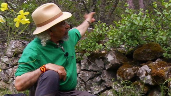 Aquí la Tierra - Pimpinela contra las hemorragias