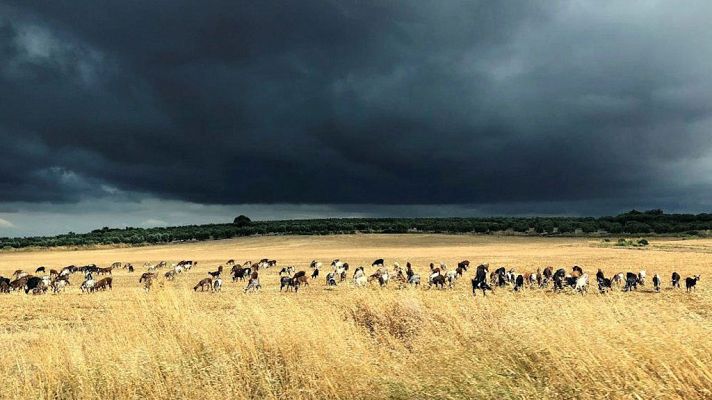 Nubosidad y posibilidad de tormenta en Galicia, Cantábrico y Navarra