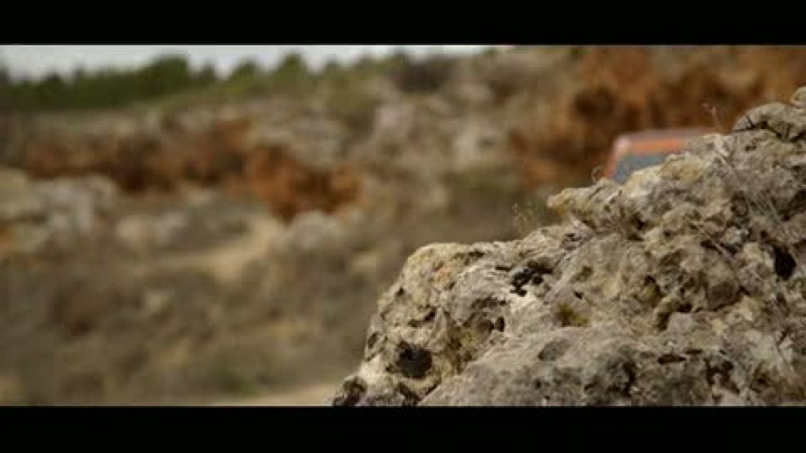 Así comienza "El paisano" en el pueblo albaceteño de Motilleja