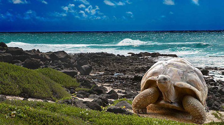 Grandes documentales - La magia del Gran Azul. Los 7 continentes: América del Sur