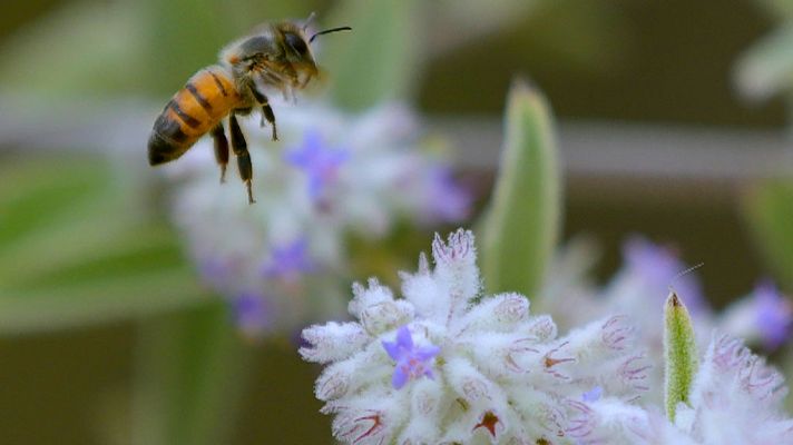 Informativo de Madrid - El Tiempo en la Comunidad de Madrid - 06/07/18
