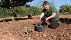 Aquí la tierra - Miquel, un pequeño payés en la huerta