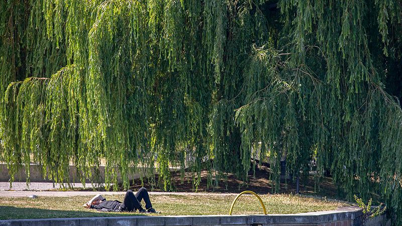 El Tiempo en la Comunidad de Madrid - 09/07/18