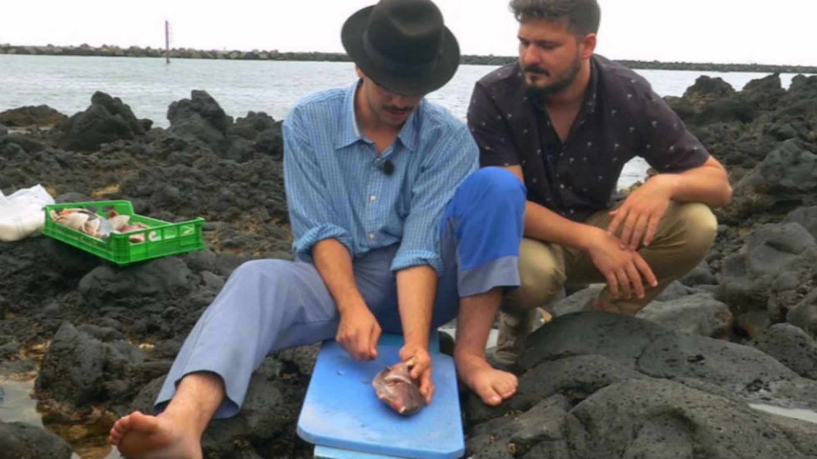 ¿Qué son las jareas?