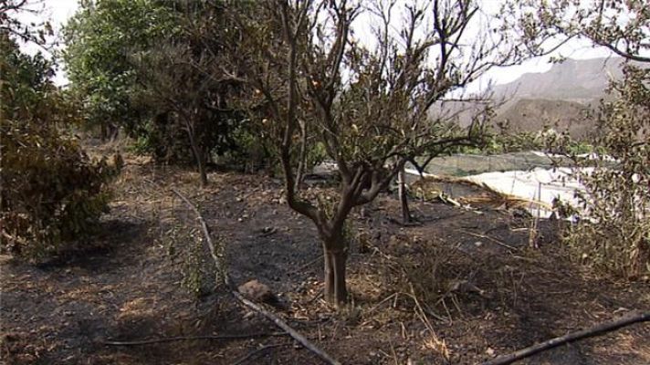 Telecanarias - Telecanarias - 10/07/2018