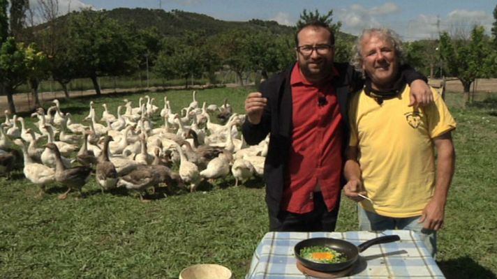 Aquí la Tierra - Guisantes, joyitas de Palencia