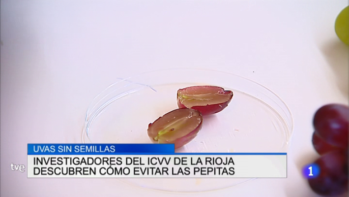 Informativo Telerioja - Telerioja en 2' - 11/07/18