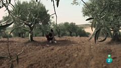 Cartas en el tiempo - Voces del exilio - Carta de Manuela Sanz a su marido Manuel López