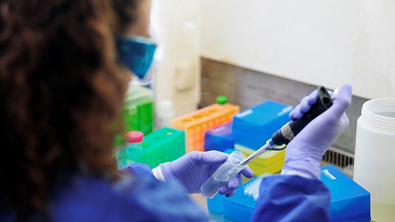 Una investigación española ha constatado que los supervivientes al ébola generan unos anticuerpos "en pequeña cantidad", denominados "unicornio", que son capaces de identificar las zonas vulnerables del virus y neutralizarlo, un primer paso para obte