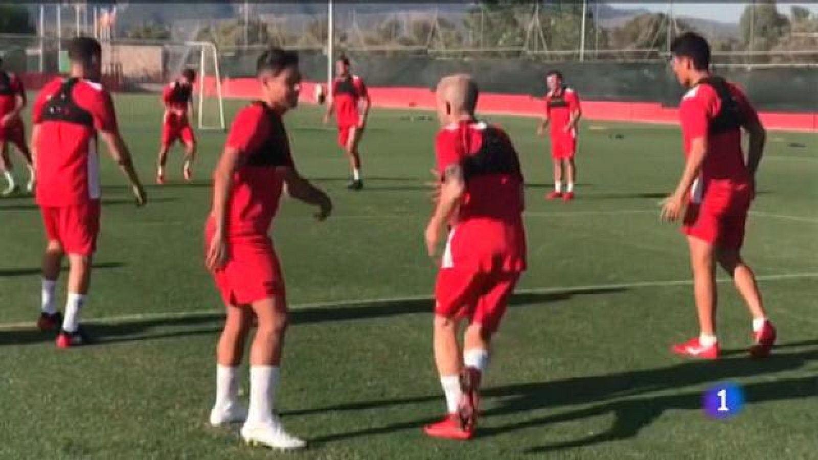 Els jugadors del Mallorca passen la revisió mèdica