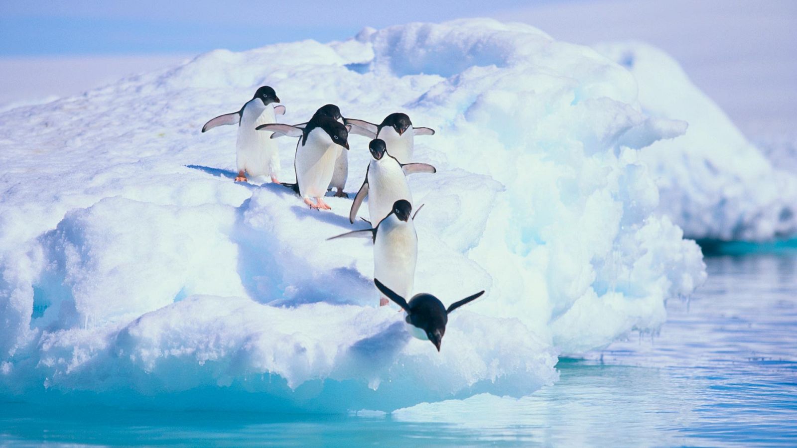 Grandes documentales - La magia del Gran Azul. Los siete continentes: La Antártida - ver ahora