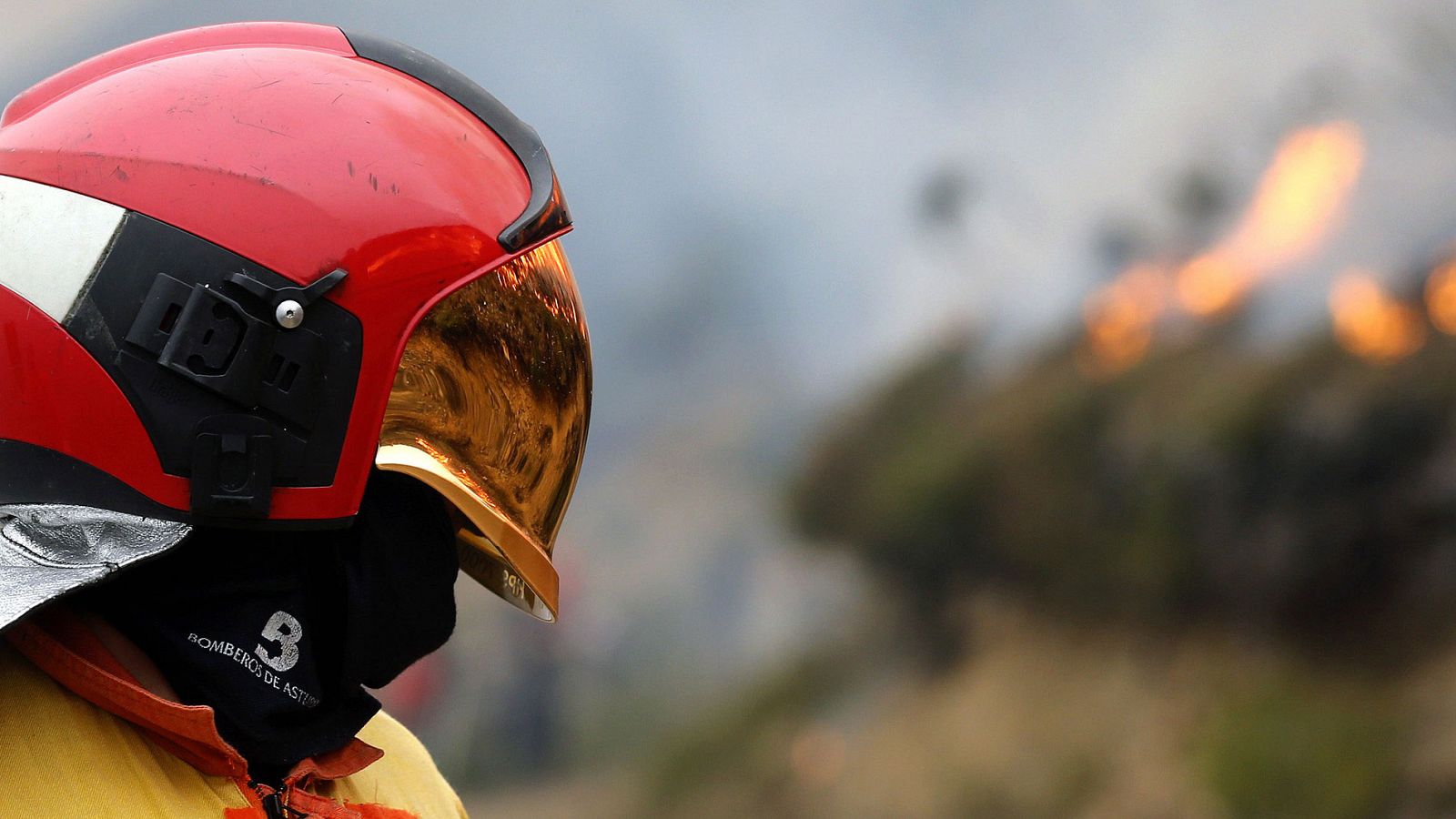 El Gobierno ha organizado un dispositivo para prevenir y luchar contra los incendios forestales.