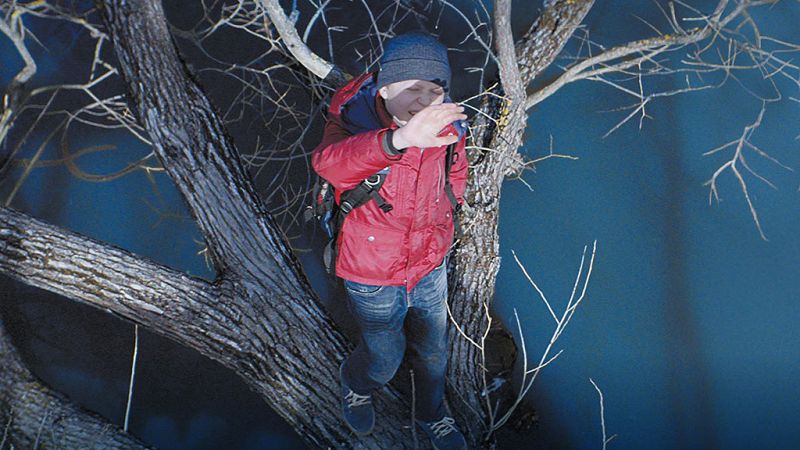 Cine en casa: 'Sin amor', 'Columbus' y 'La chica dormida'