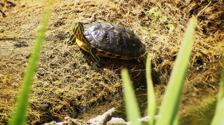 Universo UNED - UNED - 13/07/18