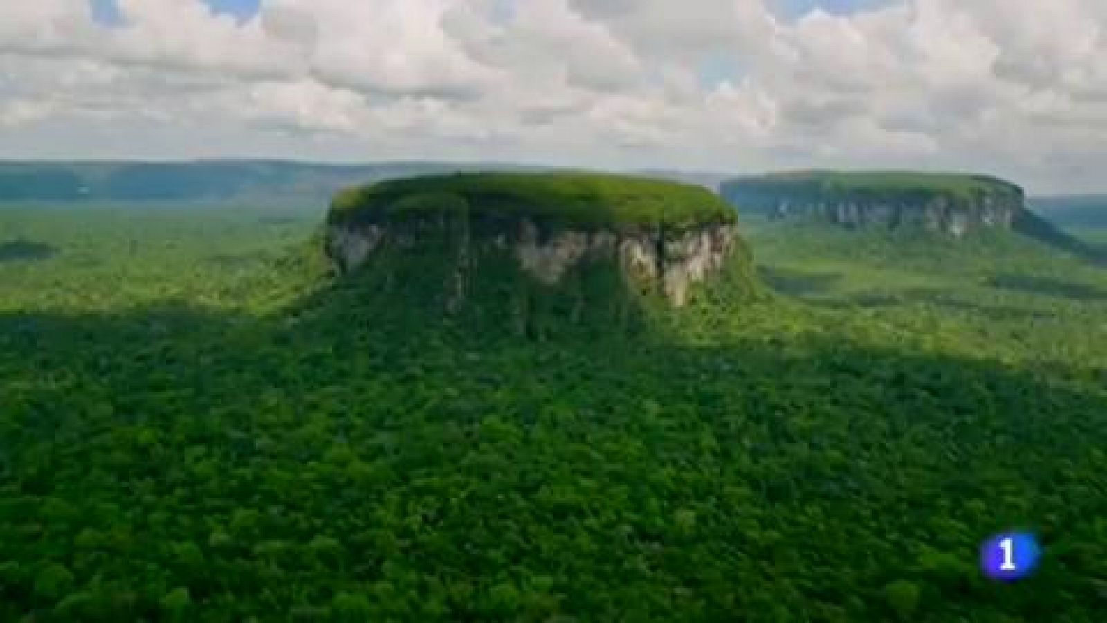 Telediario 1: El fin del conflicto en Colombia ha permitido explorar nuevas áreas de la Amazonía  | RTVE Play