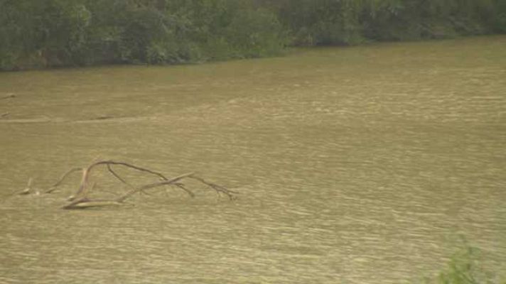 Arqueomanía - Munigua