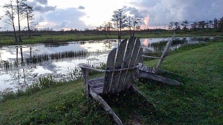 Mississippi salvaje: El Blues del Delta