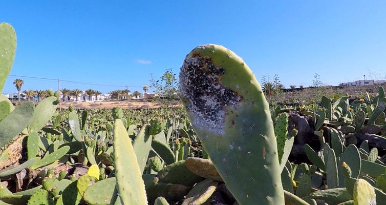 Aquí la Tierra - Aquí la Tierra - 17/07/18