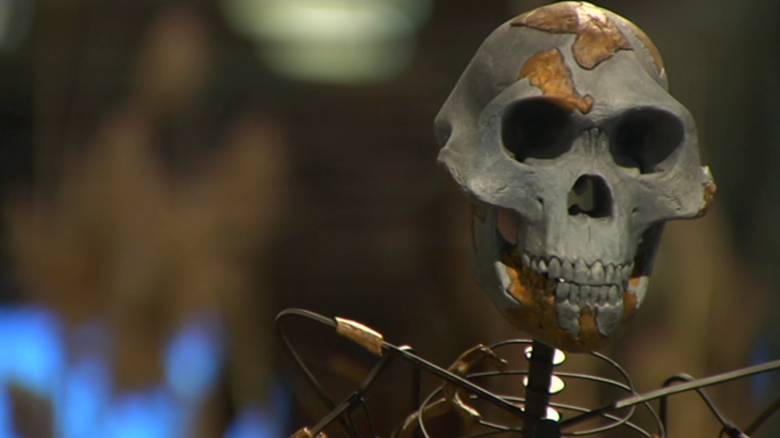 Arqueomanía - Especial Museo Arqueológico Nacional (1ª parte) - ver ahora