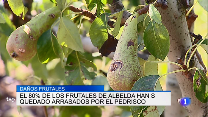 Informativo Telerioja - Telerioja en 2' - 18/07/18