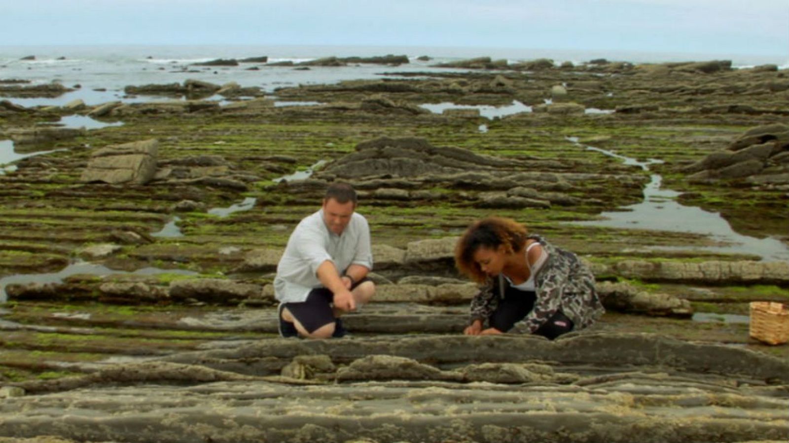 Te pegas como una lapa