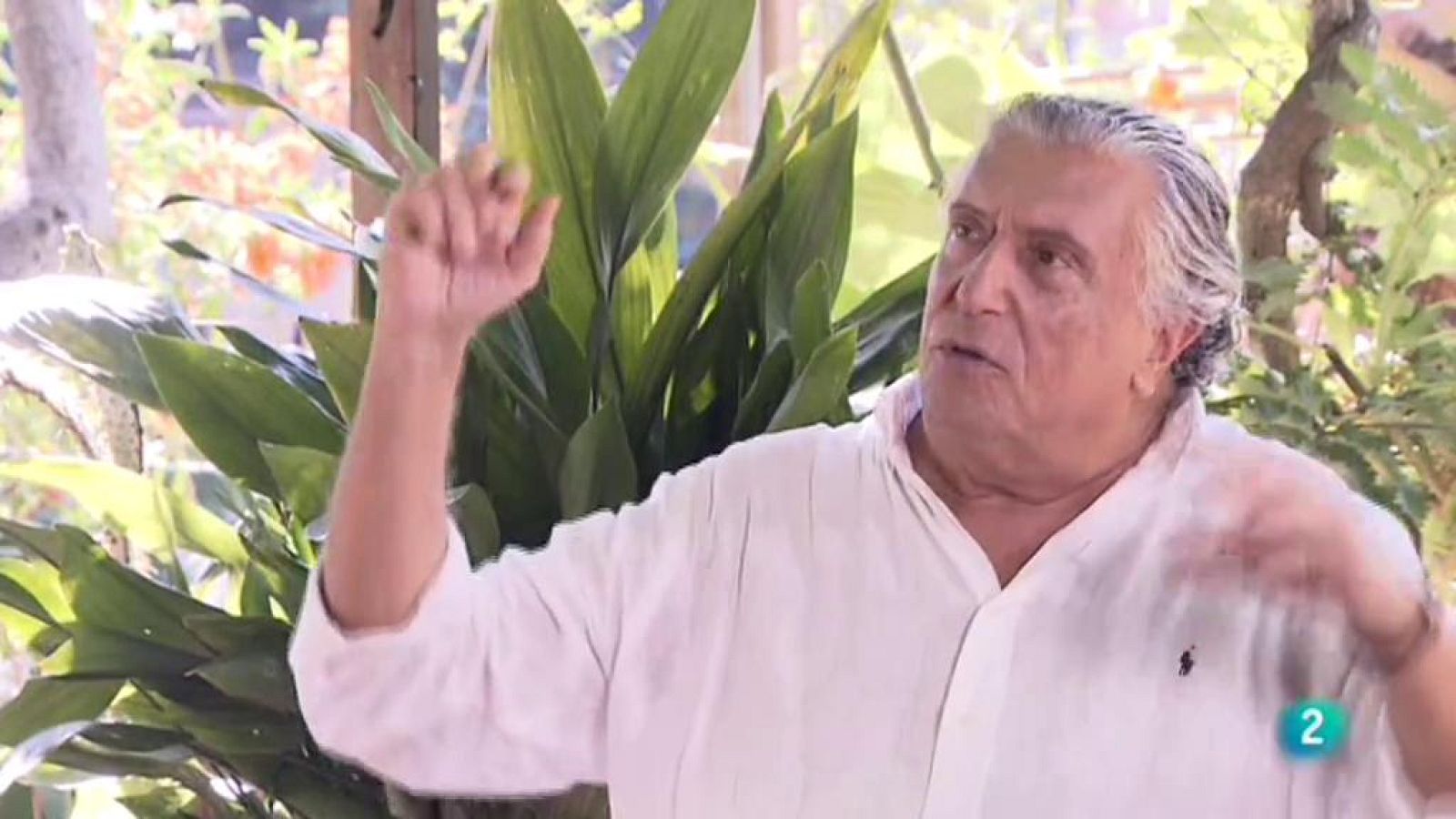 Punts de vista - 19/07/2018