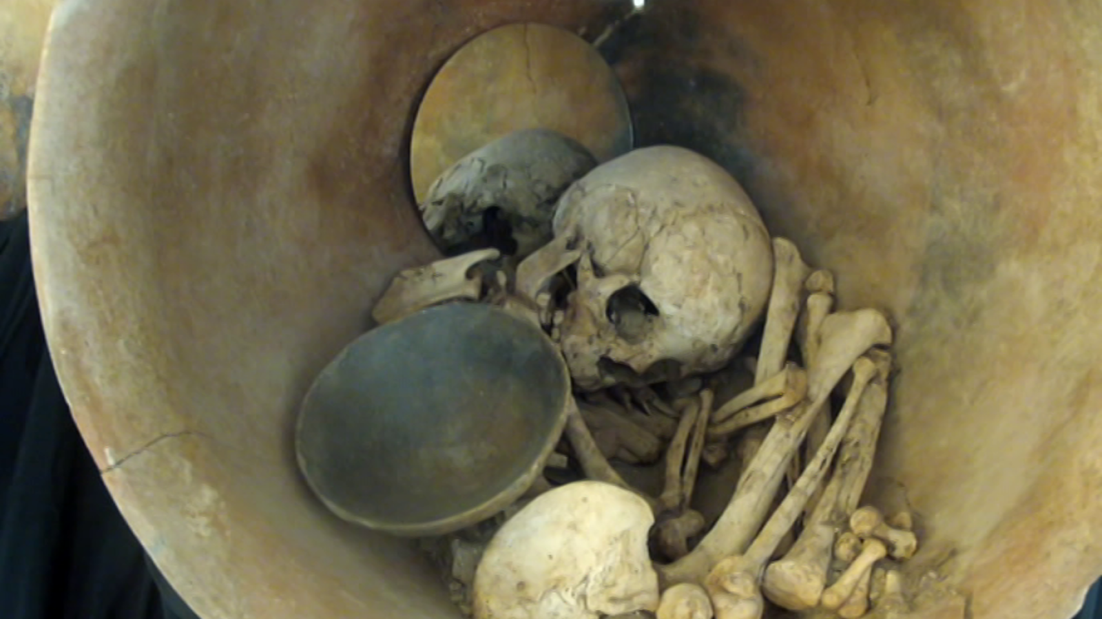 Arqueomanía - Señoras, guerreros y buscadores (1ª parte) - ver ahora