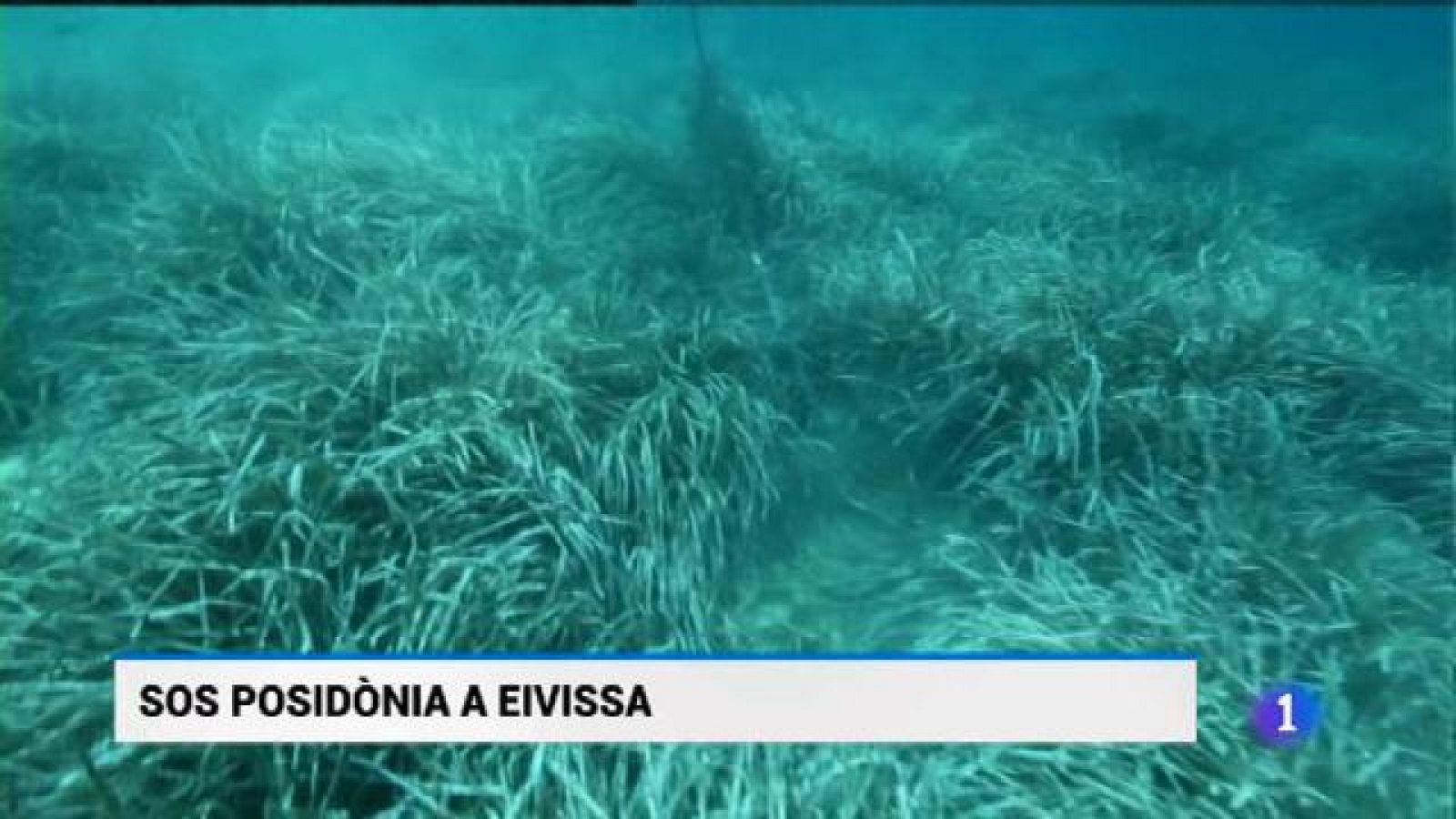 Informatiu Balear en 2' - 20/07/18