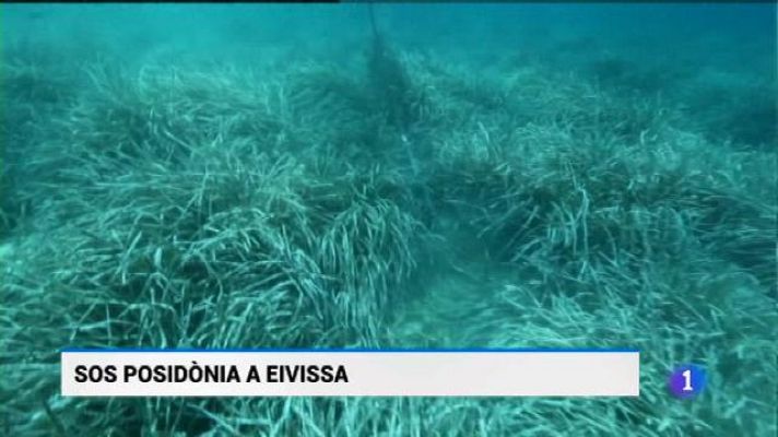 Informatiu Balear - Informatiu Balear - 20/07/18