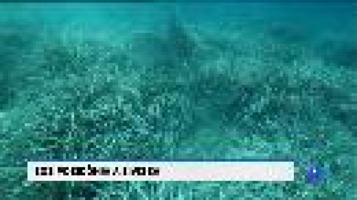 Informatiu Balear - Informatiu Balear - 20/07/18