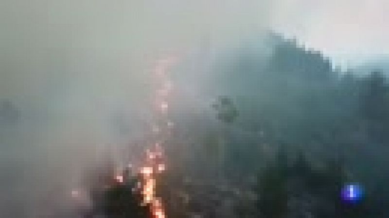 Unos 50 incendios siguen activos en Suecia debido a las altas temperaturas 