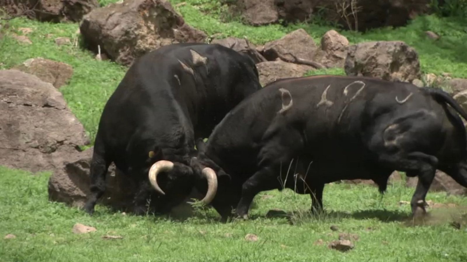 Tendido Cero - 21/07/18 - ver ahora