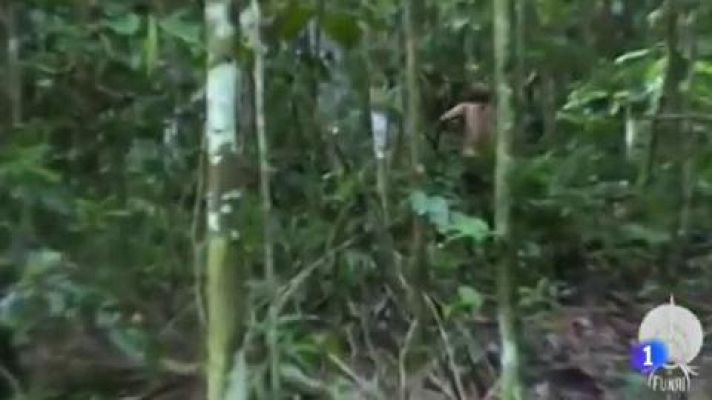 Tiene unos 50 años  y lleva más de 20 viviendo solo en la selva de Brasil