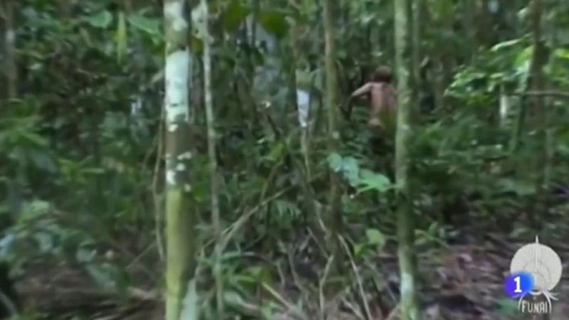 Tiene unos 50 años  y lleva más de 20 viviendo solo en la selva de Brasil