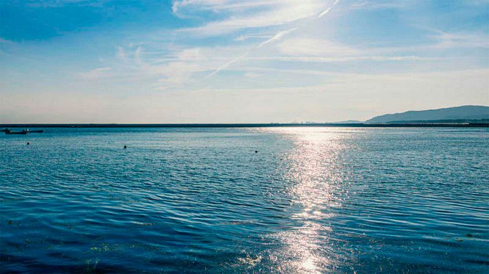 Informativo 24h - Reabren dos playas en la prefectura de Fukushima que quedaron devastadas tras el tsunami de 2011