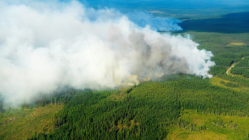 Suecia sigue en alerta por incendios ante la ola de calor en el norte de Europa