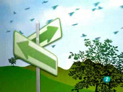 Actívate - El reto del bienestar - 03/04/09