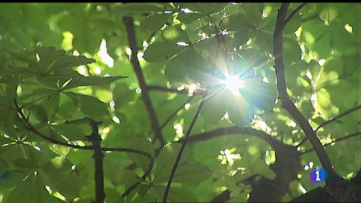 Panorama Regional - El tiempo en Asturias - 23/07/18
