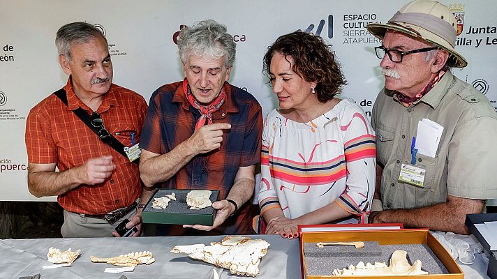 Telediario 1 - El hallazgo más importante de 2018 en Atapuerca, restos de una adolescente de hace 300.000 años