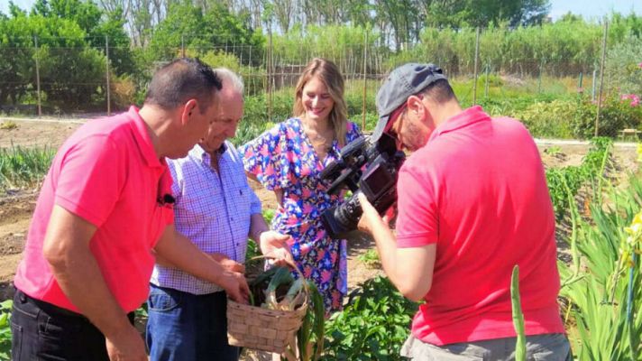 Aquí la Tierra - Las pochas son de Tudela