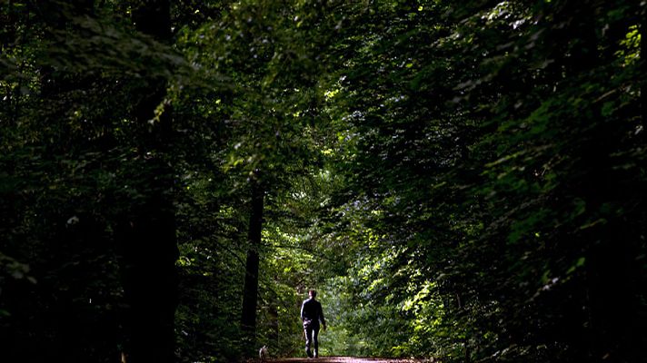 El tiempo - Probabilidad de chubascos y tormentas localmente fuertes en el entorno de Pirineos