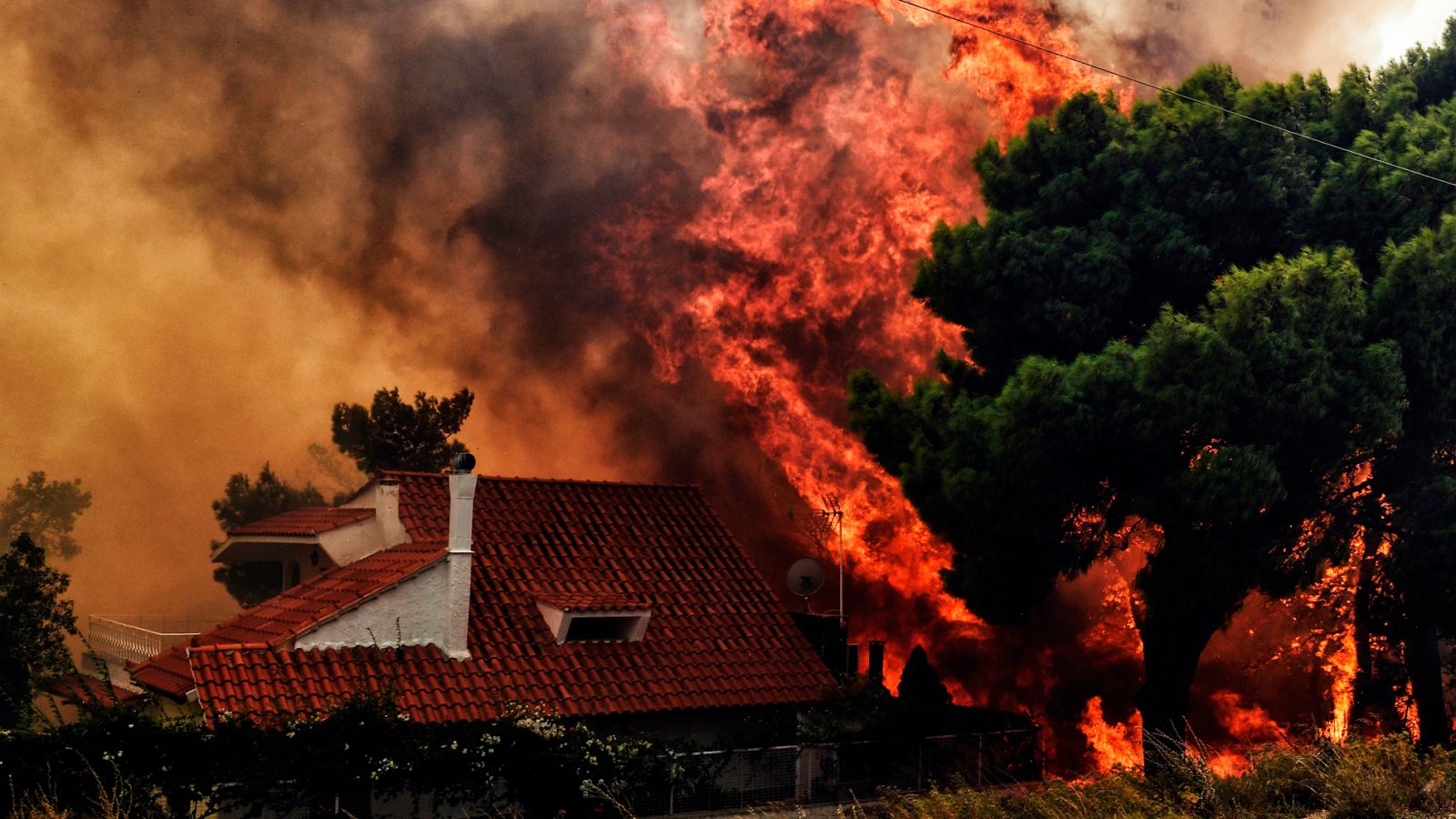 Noticias 24h: Al menos 50 muertos y 156 heridos en Grecia por varios incendios | RTVE Play